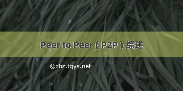 Peer to Peer ( P2P ) 综述