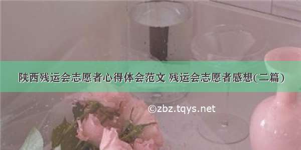 陕西残运会志愿者心得体会范文 残运会志愿者感想(二篇)