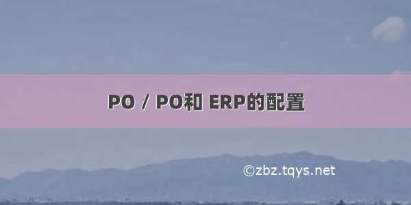 PO / PO和 ERP的配置
