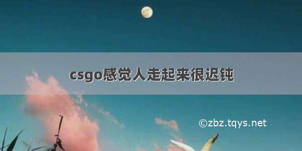 csgo感觉人走起来很迟钝