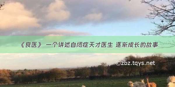 《良医》 一个讲述自闭症天才医生 逐渐成长的故事