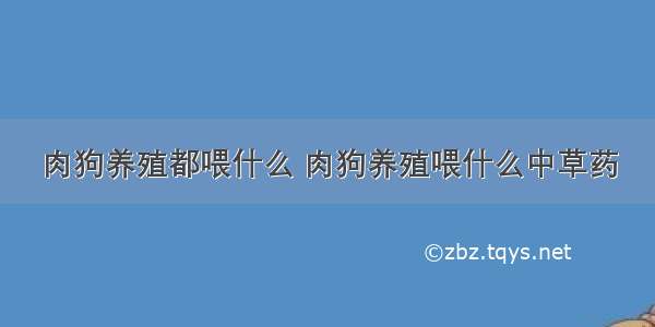 肉狗养殖都喂什么 肉狗养殖喂什么中草药