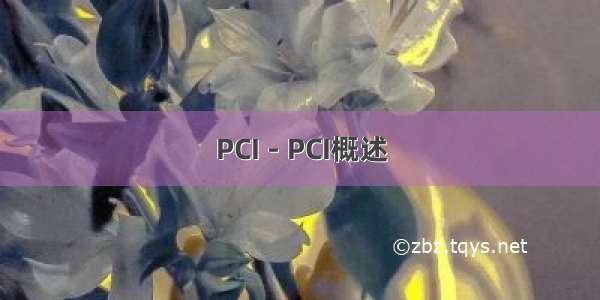 PCI - PCI概述