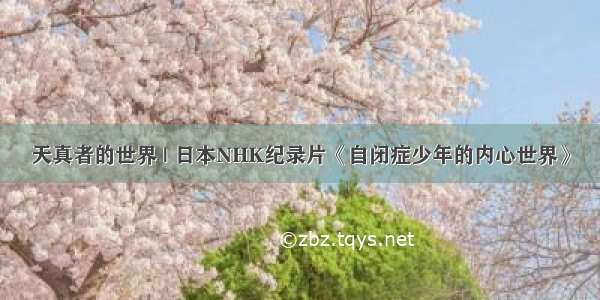 天真者的世界 | 日本NHK纪录片《自闭症少年的内心世界》
