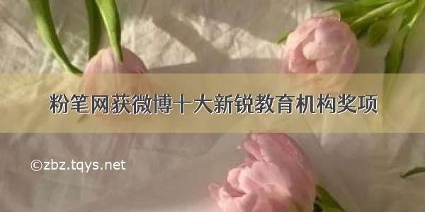 粉笔网获微博十大新锐教育机构奖项