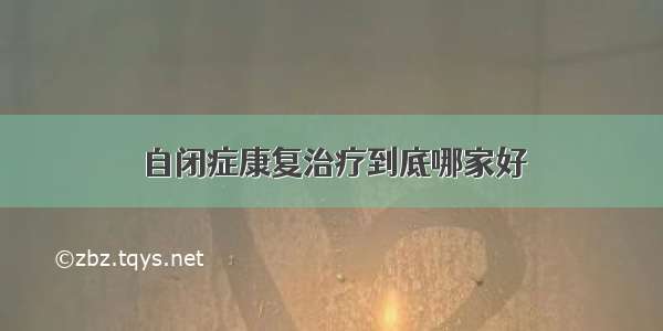 自闭症康复治疗到底哪家好