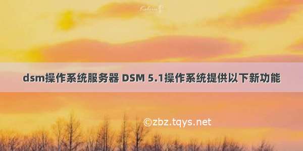 dsm操作系统服务器 DSM 5.1操作系统提供以下新功能