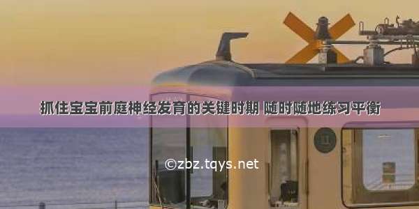 抓住宝宝前庭神经发育的关键时期 随时随地练习平衡