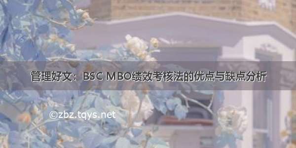 管理好文：BSC MBO绩效考核法的优点与缺点分析