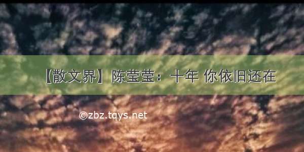 【散文界】陈莹莹：十年 你依旧还在