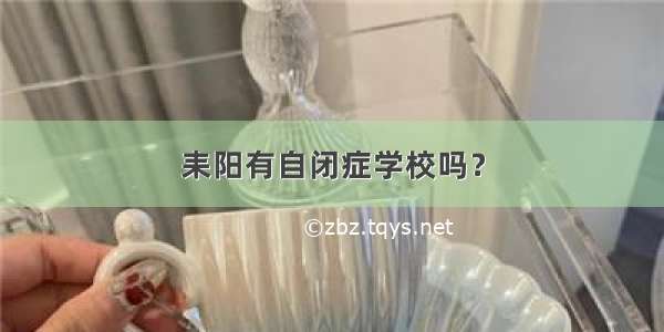 耒阳有自闭症学校吗？