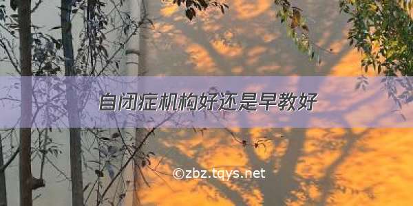 自闭症机构好还是早教好