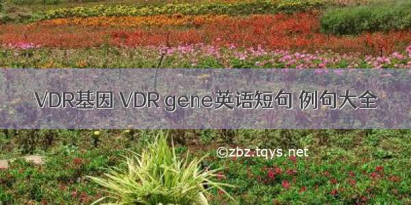 VDR基因 VDR gene英语短句 例句大全