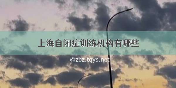 上海自闭症训练机构有哪些