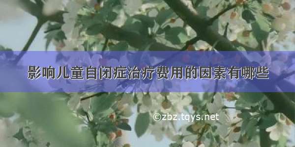 影响儿童自闭症治疗费用的因素有哪些