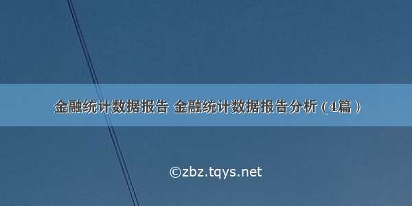 金融统计数据报告 金融统计数据报告分析 (4篇）