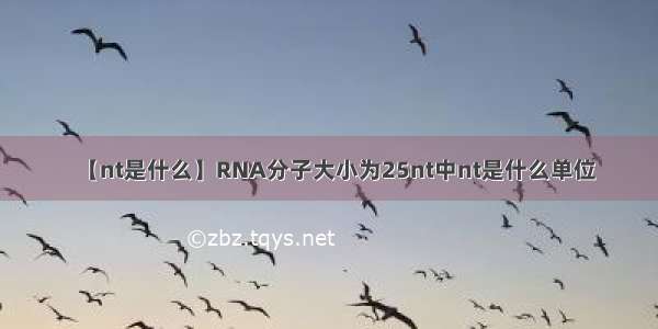 【nt是什么】RNA分子大小为25nt中nt是什么单位