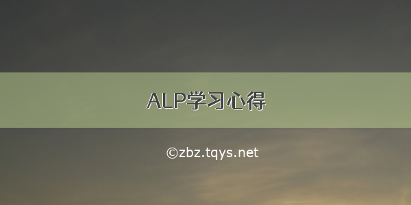 ALP学习心得