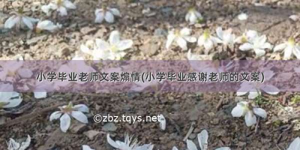 小学毕业老师文案煽情(小学毕业感谢老师的文案)