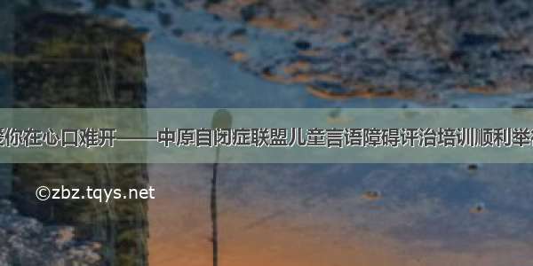 爱你在心口难开——中原自闭症联盟儿童言语障碍评治培训顺利举行