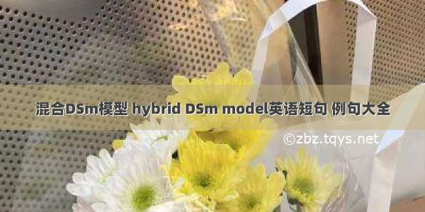 混合DSm模型 hybrid DSm model英语短句 例句大全