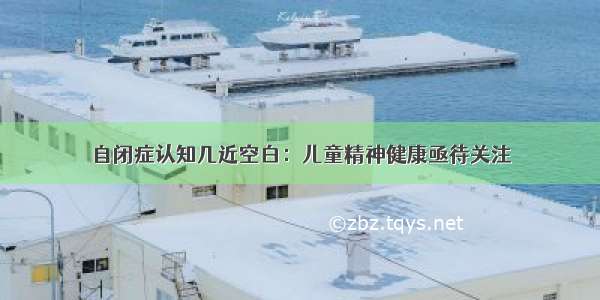 自闭症认知几近空白：儿童精神健康亟待关注