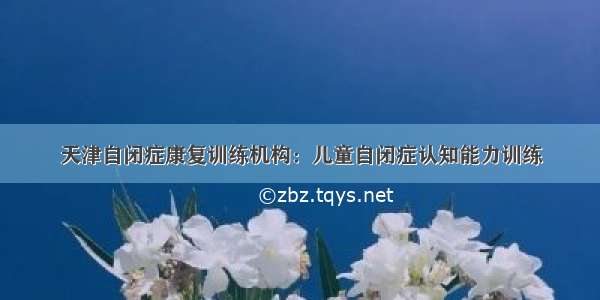 天津自闭症康复训练机构：儿童自闭症认知能力训练
