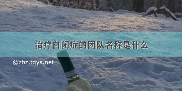 治疗自闭症的团队名称是什么