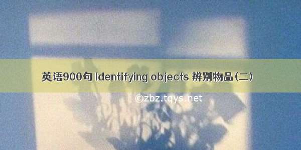 英语900句 Identifying objects 辨别物品(二)