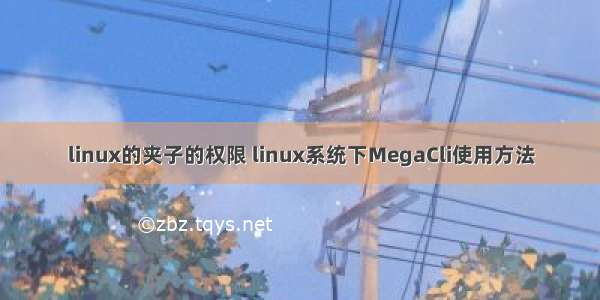 linux的夹子的权限 linux系统下MegaCli使用方法