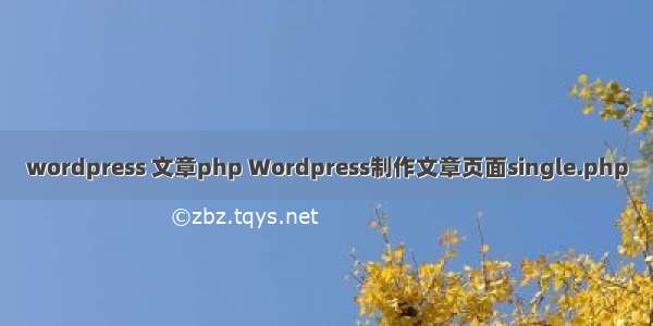 wordpress 文章php Wordpress制作文章页面single.php