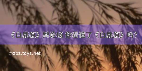 《白鹿原》辩论场 你看懂了《白鹿原》吗？