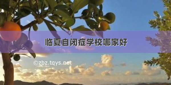 临夏自闭症学校哪家好