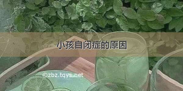 小孩自闭症的原因