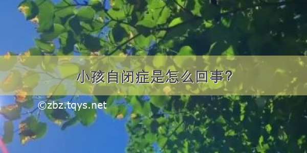 小孩自闭症是怎么回事？