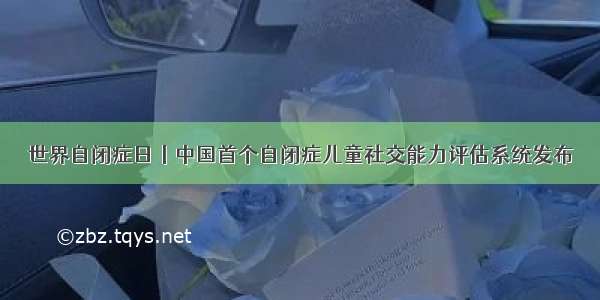 世界自闭症日丨中国首个自闭症儿童社交能力评估系统发布