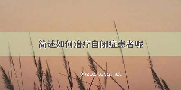 简述如何治疗自闭症患者呢