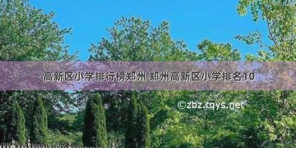 高新区小学排行榜郑州 郑州高新区小学排名10