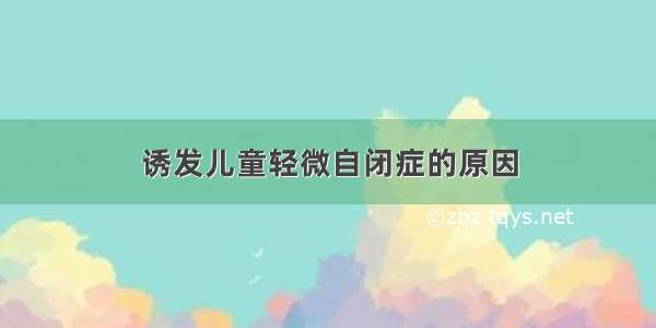 诱发儿童轻微自闭症的原因