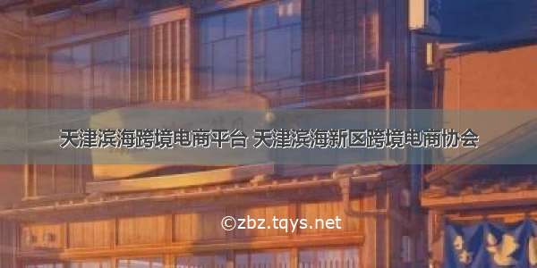 天津滨海跨境电商平台 天津滨海新区跨境电商协会