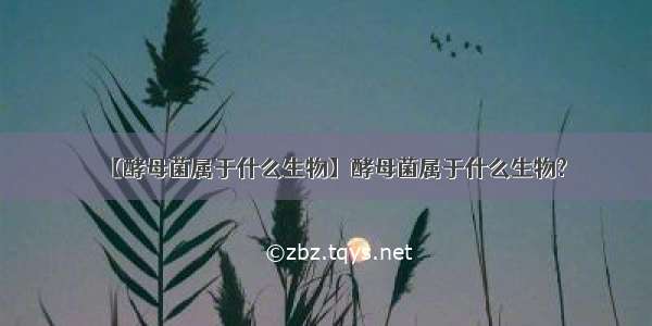 【酵母菌属于什么生物】酵母菌属于什么生物?