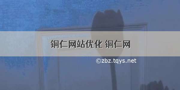 铜仁网站优化 铜仁网