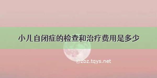 小儿自闭症的检查和治疗费用是多少