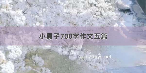 小黑子700字作文五篇