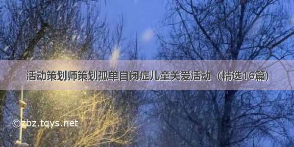 活动策划师策划孤单自闭症儿童关爱活动（精选16篇）