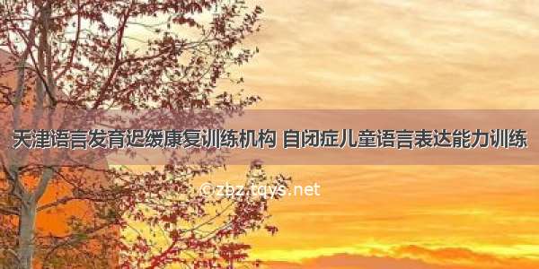 天津语言发育迟缓康复训练机构 自闭症儿童语言表达能力训练