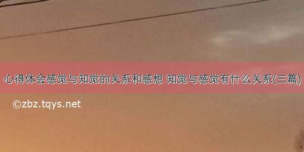 心得体会感觉与知觉的关系和感想 知觉与感觉有什么关系(三篇)