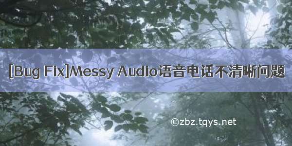 [Bug Fix]Messy Audio语音电话不清晰问题