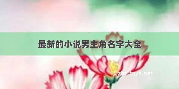 最新的小说男主角名字大全