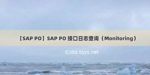 【SAP PO】SAP PO 接口日志查询（Monitoring）